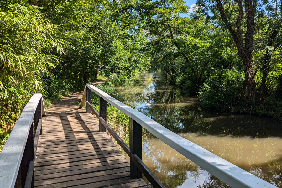 Bridge on the River Wey Navigation